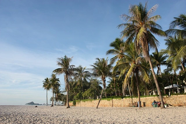 Palms Trees on a Hua Hin beach