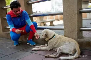 A superhero engaging in team-building activity showing compassion by feeding a stray dog in Bangkok, Thailand.